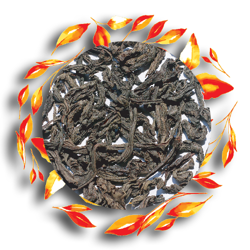 Ceylon Black Tea, Black Tea, Tea Exporter, Tea Manufacturer, Colombo, Sri Lanka
