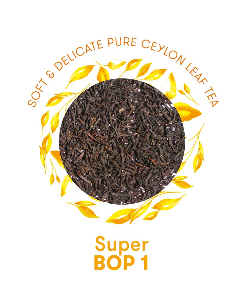 Ceylon Black Tea, Pure Ceylon Tea, Tea Exporter, Colombo, Sri Lanka